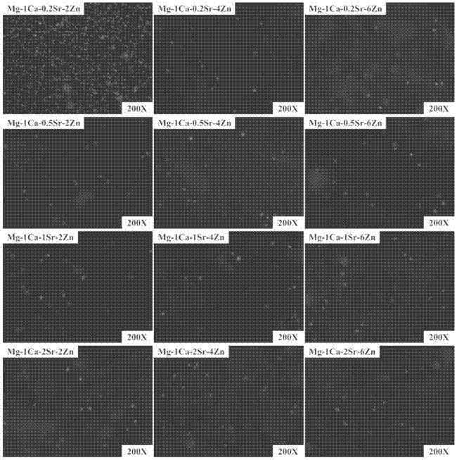 A kind of mg-ca-sr-zn series magnesium alloy and its preparation method and application