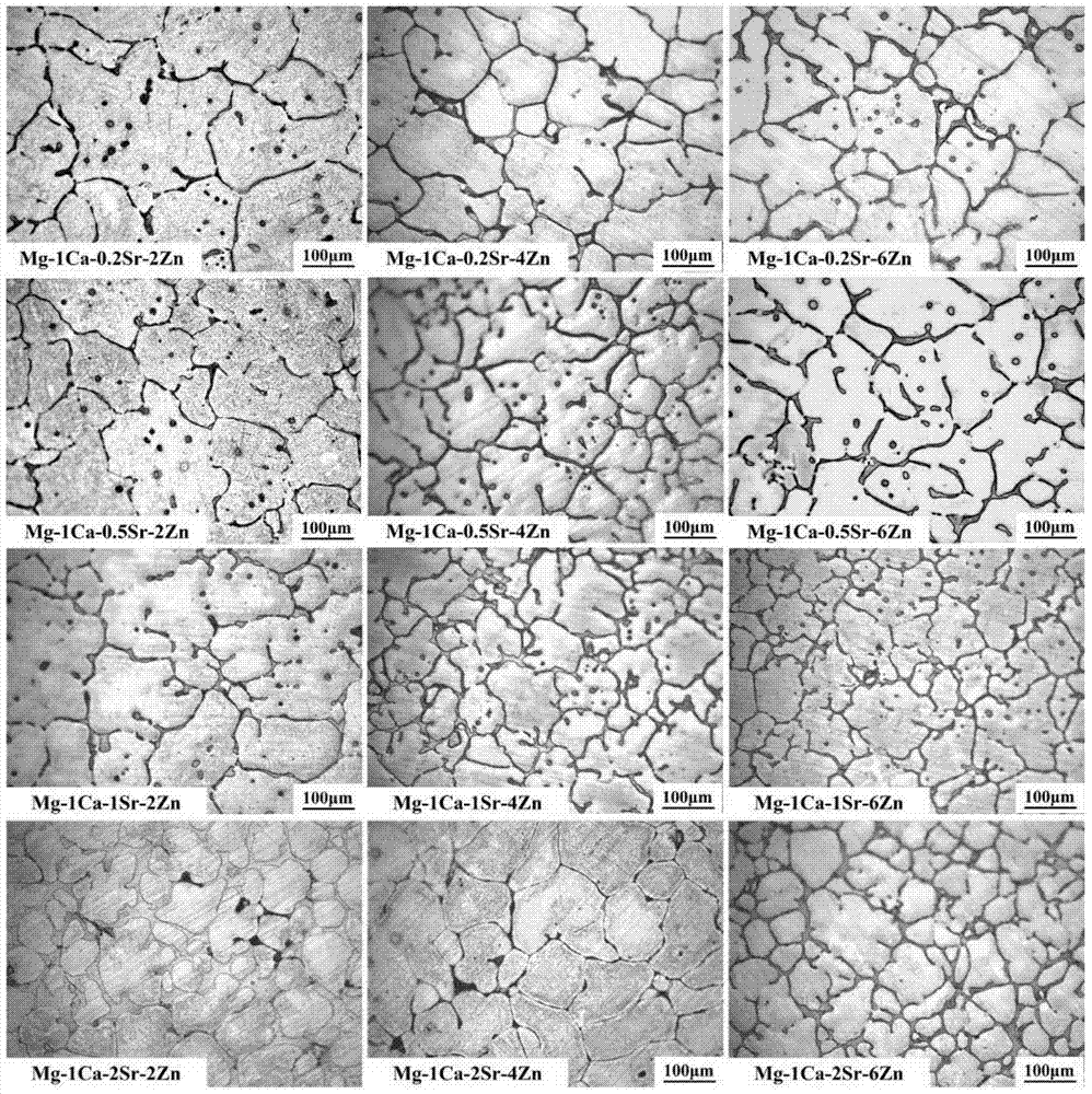 A kind of mg-ca-sr-zn series magnesium alloy and its preparation method and application