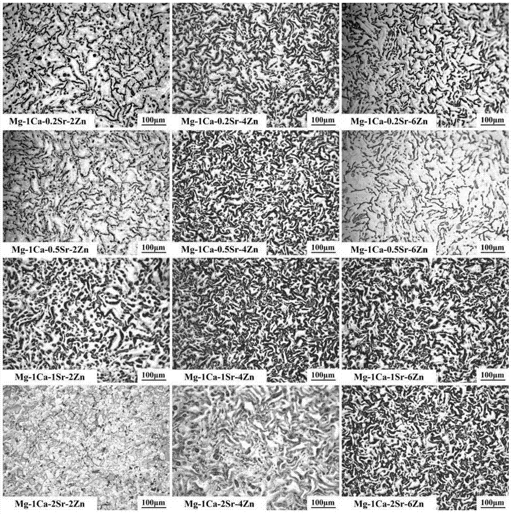 A kind of mg-ca-sr-zn series magnesium alloy and its preparation method and application