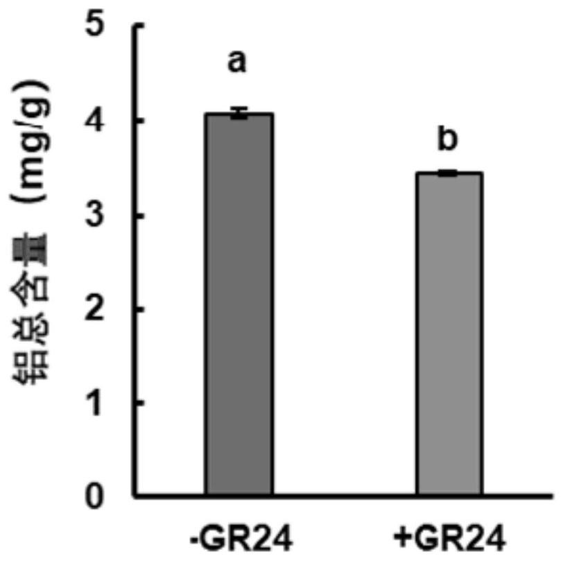 Method for enhancing aluminum resistance of peas