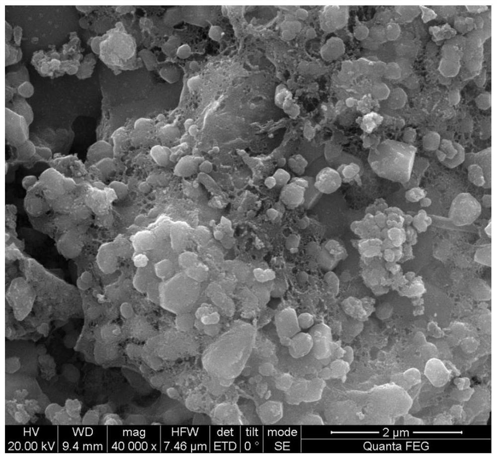 Application of mg/fe oxide-modified biochar nanocomposites in antibiotic removal