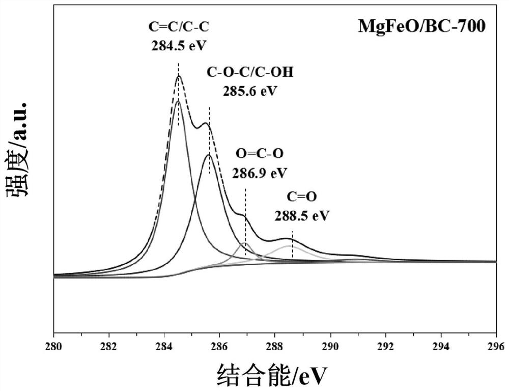 Application of mg/fe oxide-modified biochar nanocomposites in antibiotic removal