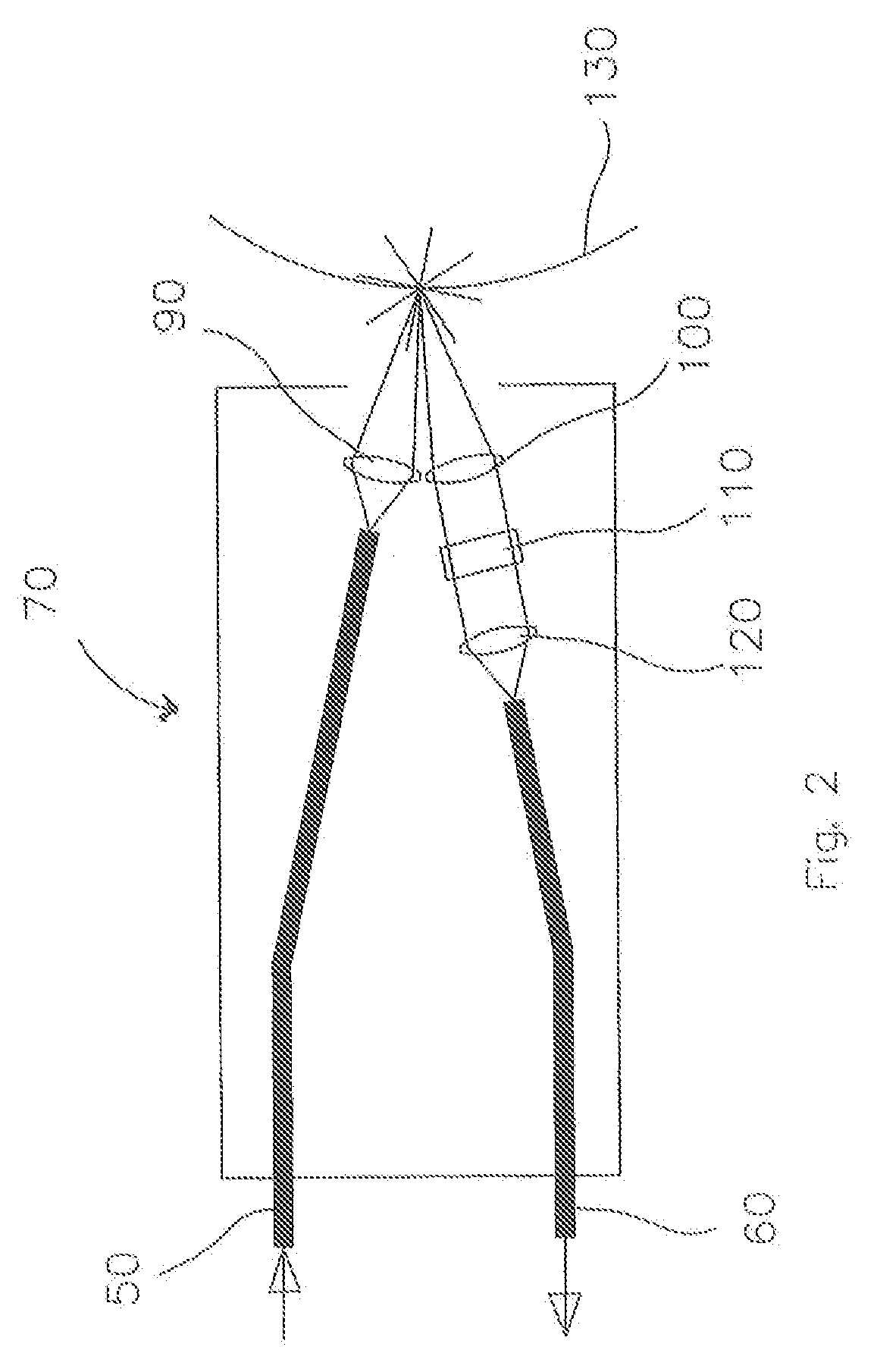 Medical Device For Diagnosing and Treating Anomalous Tissue and Method for Doing the Same