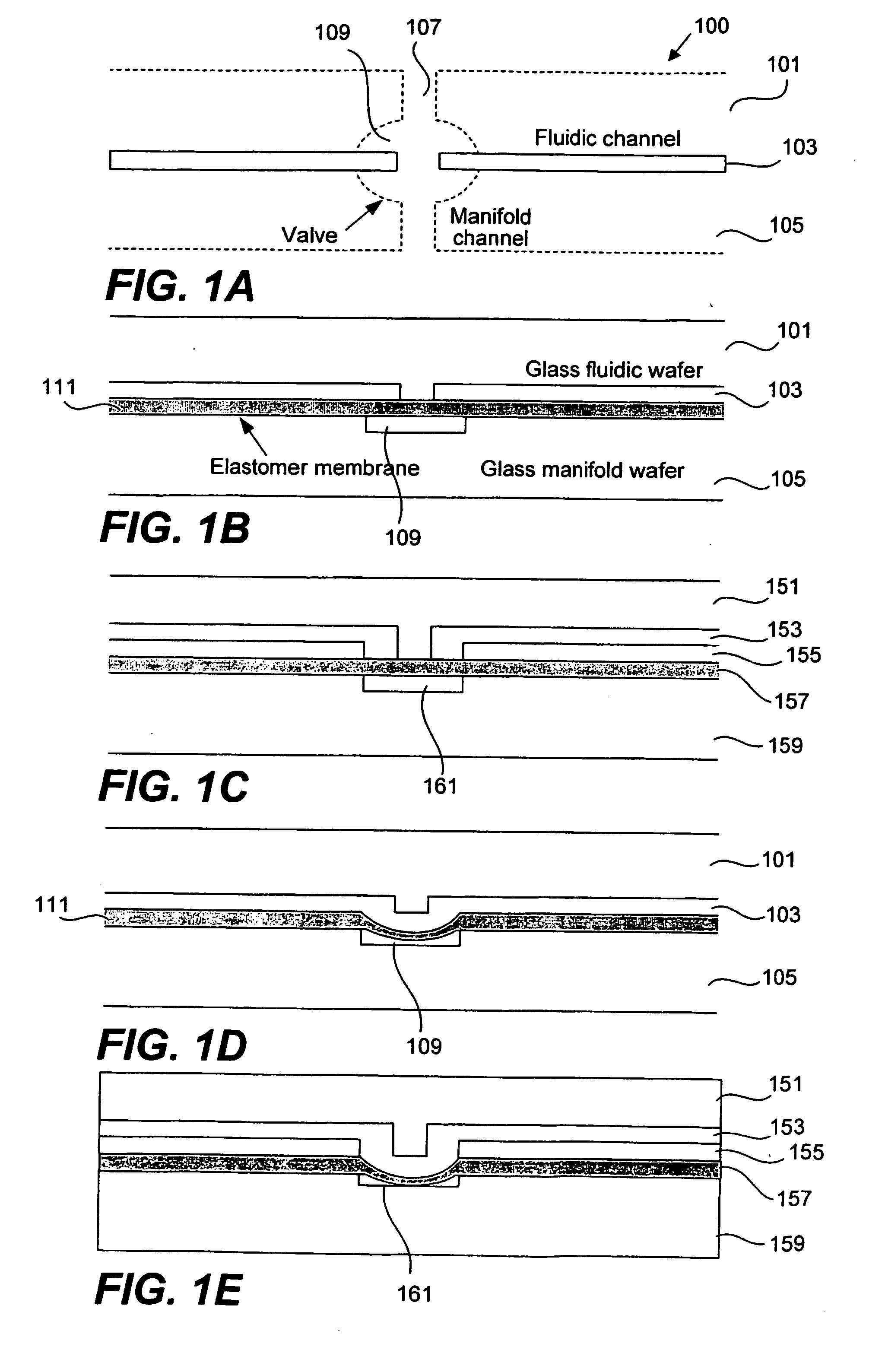 Methods and apparatus for pathogen detection and analysis