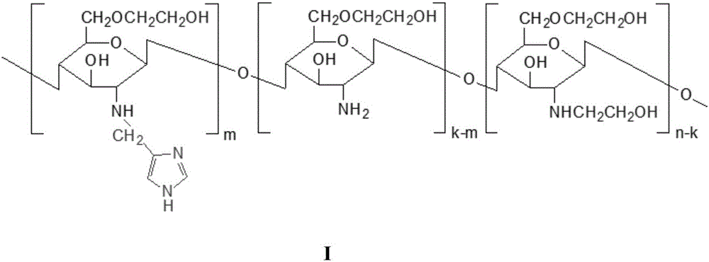 Chitosan derivative with endosome escape function as well as preparation method and application thereof