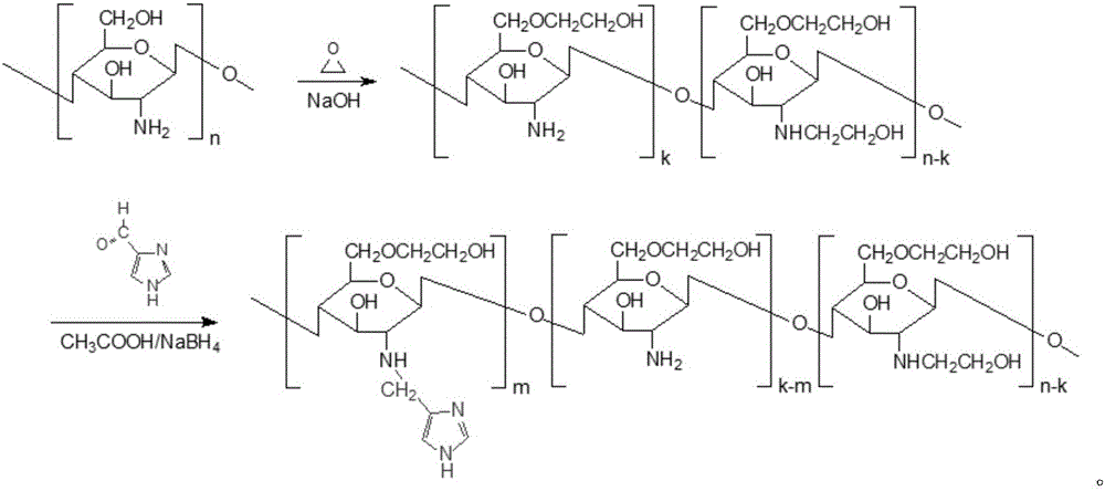 Chitosan derivative with endosome escape function as well as preparation method and application thereof