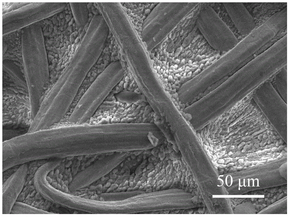 Metal cotton-based lithium sulfur battery anode material and preparation method thereof