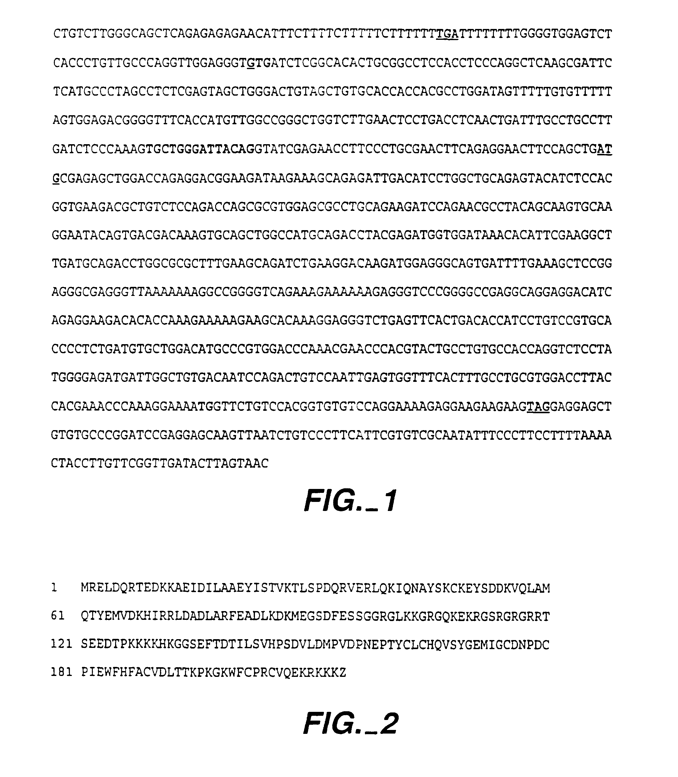 IAPs associated cell cycle proteins, compositions and methods of use