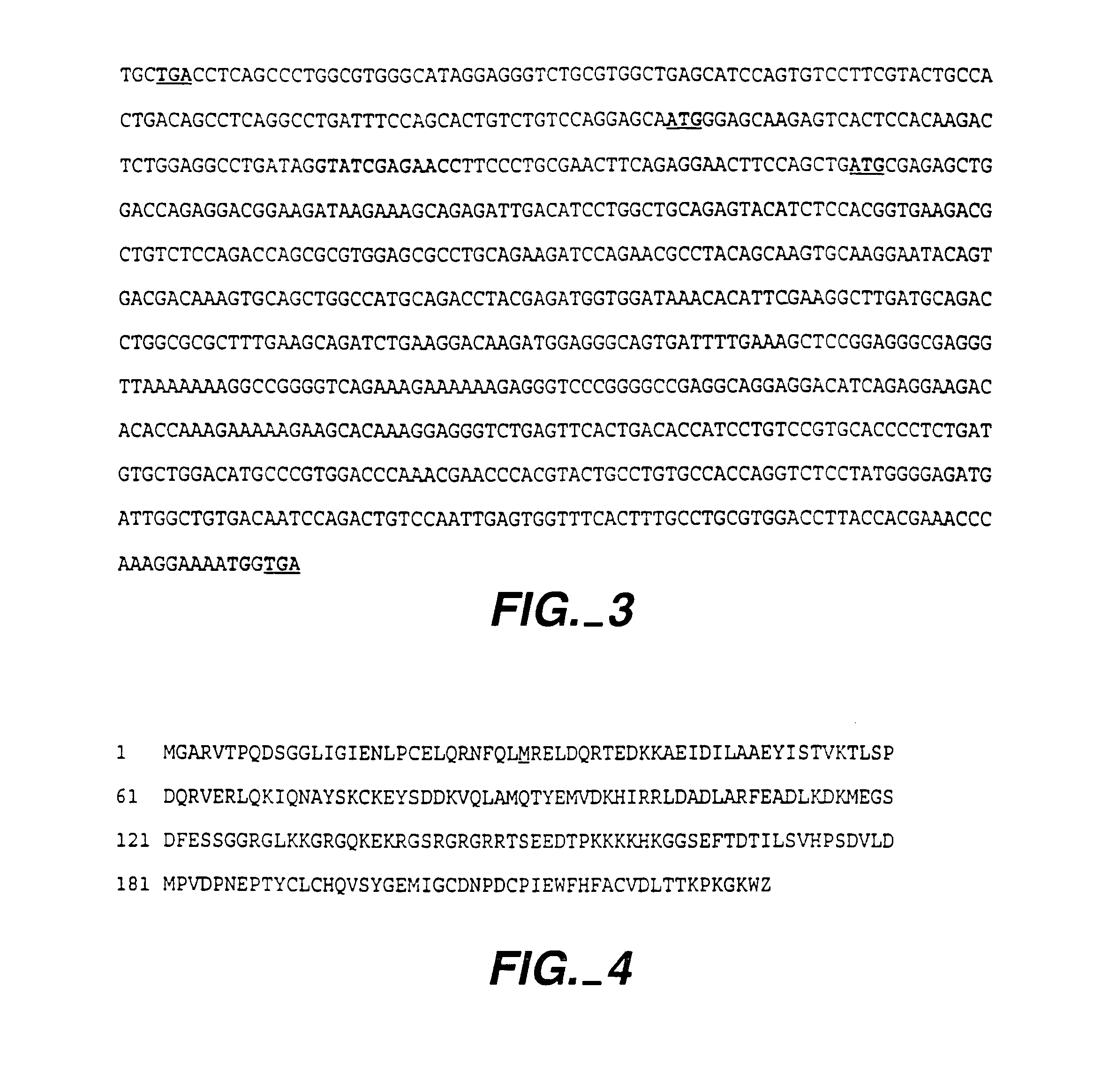 IAPs associated cell cycle proteins, compositions and methods of use