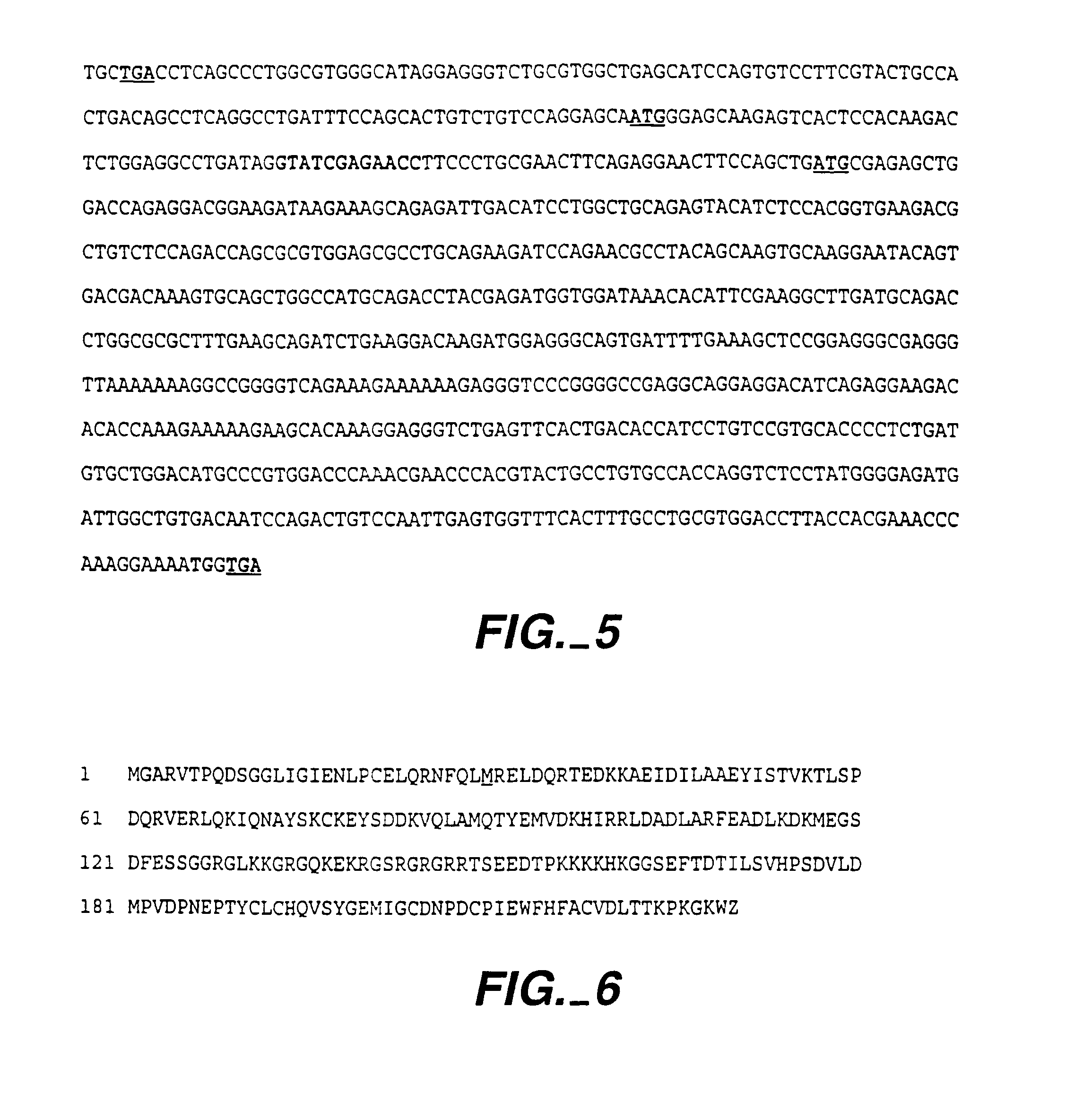 IAPs associated cell cycle proteins, compositions and methods of use