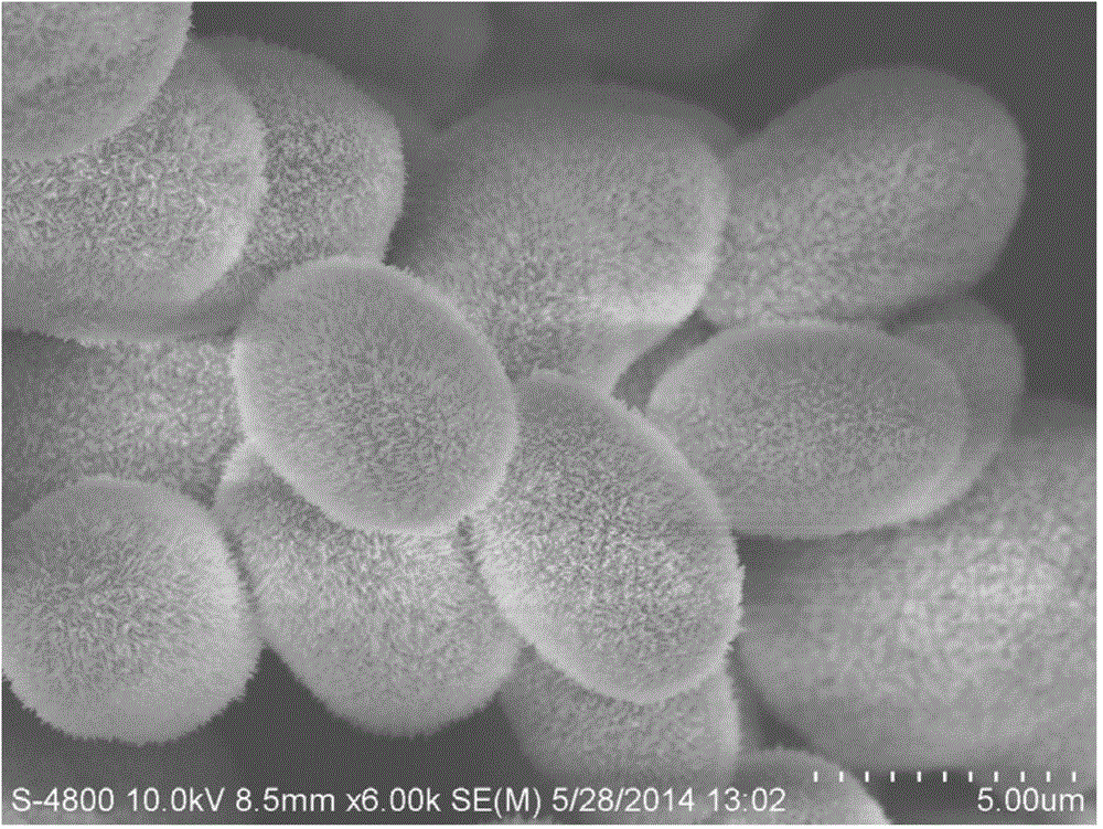 Preparation method of ellipsoidal ion-doped hydroxyapatite microspheres with porous surface