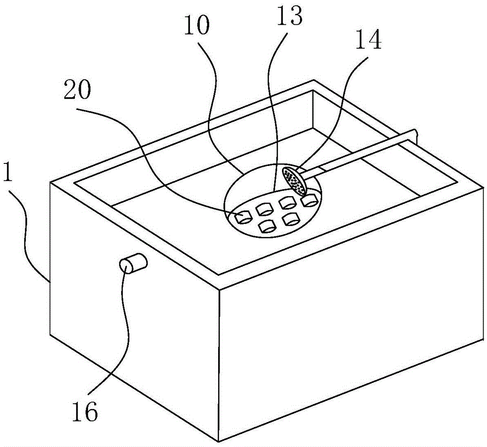 Device and method for incubating zygotes of fishes