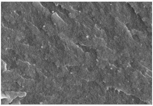 Preparation method for hydrophobic montmorillonite clay/isolated soy protein composite film