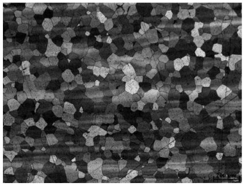 Nickel-cobalt-based wrought superalloy and preparation method thereof