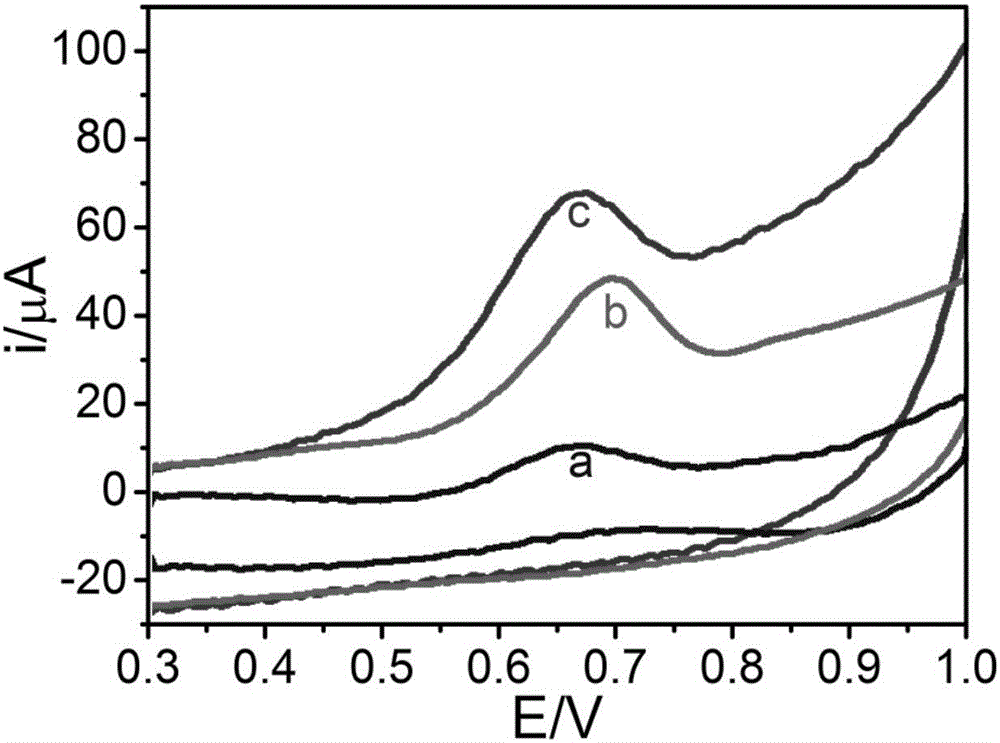 Chemically modified electrode for quantitative determination of folic acid and preparation method of electrochemical sensor