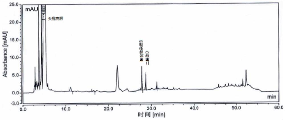 Method for detecting cefixime polymer impurity