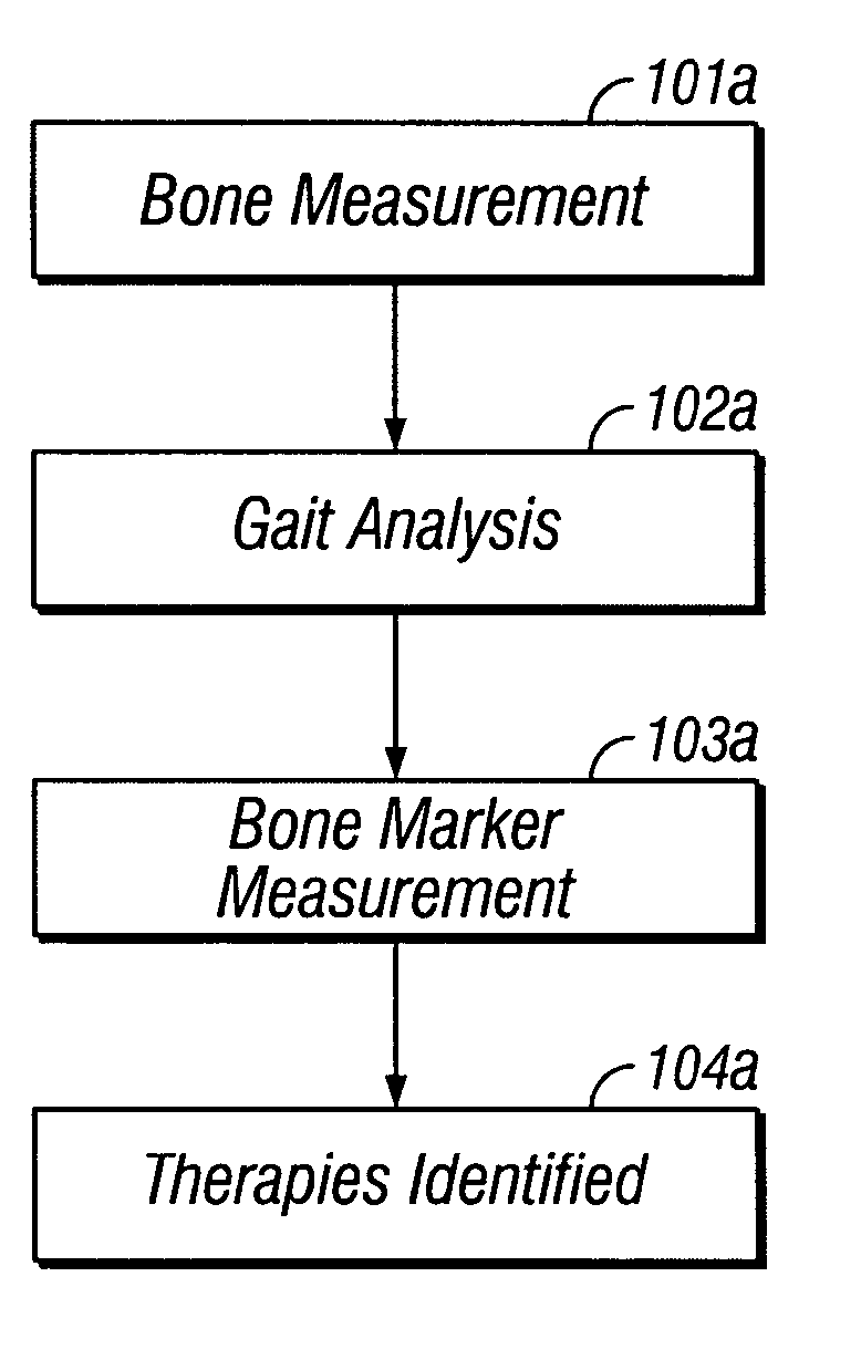 Integrated protocol for diagnosis, treatment, and prevention of bone mass degradation