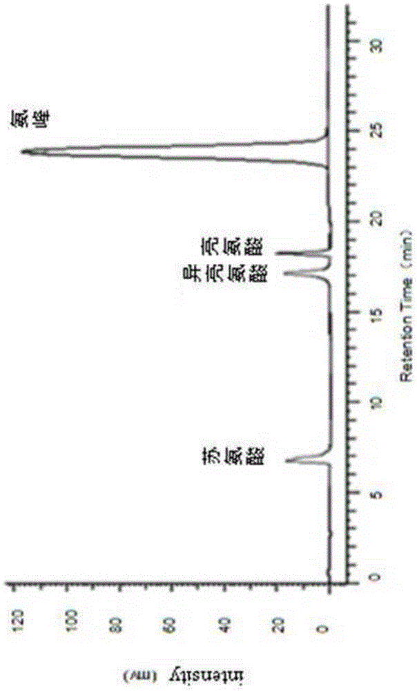 Preparation method of rice bran protein peptide with ACE inhibitory activity