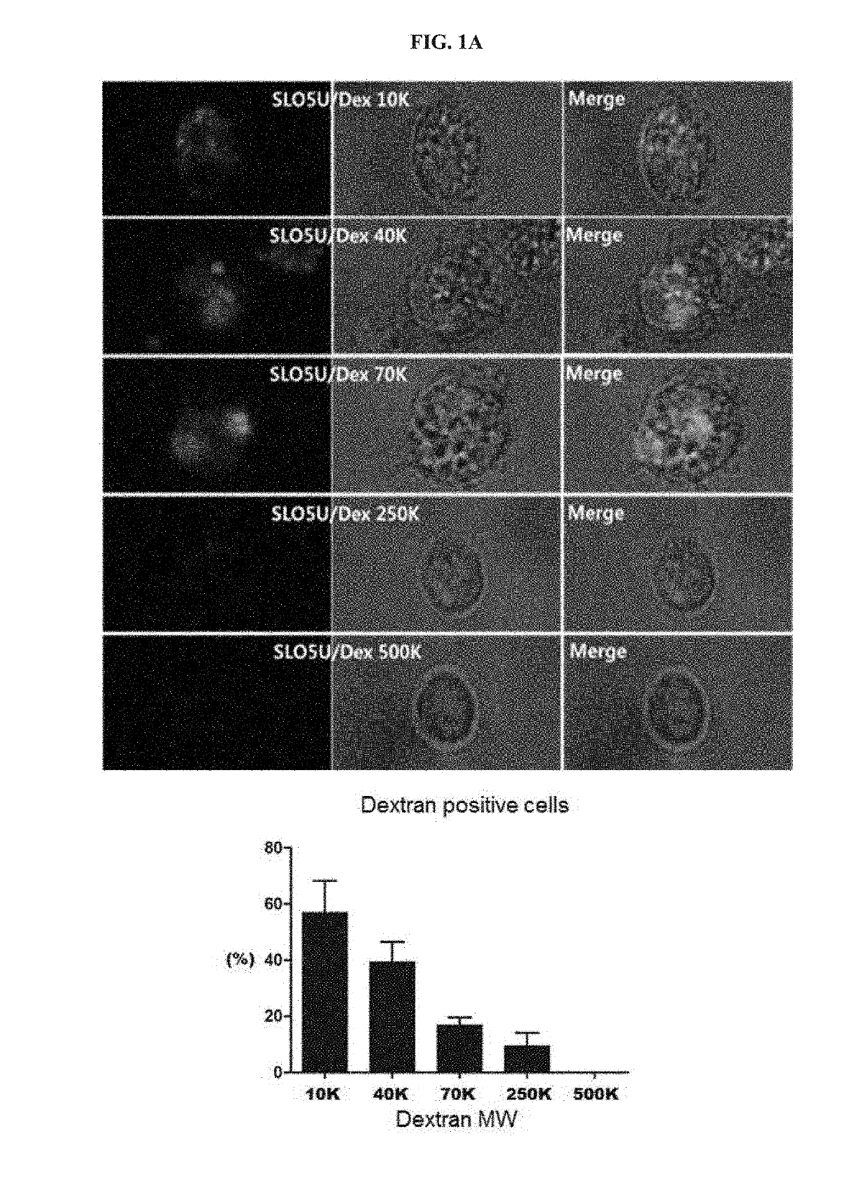 Methods for isolating and culturing living cells using method of permeabilizing cell membrane