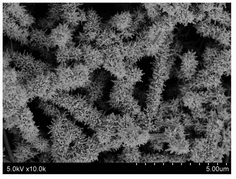 Preparation method of nano fiber containing TiO2/WO3 heterojunction