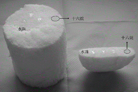 Method for preparing novel super-hydrophobic polyurethane oil-water separation material with no solvent