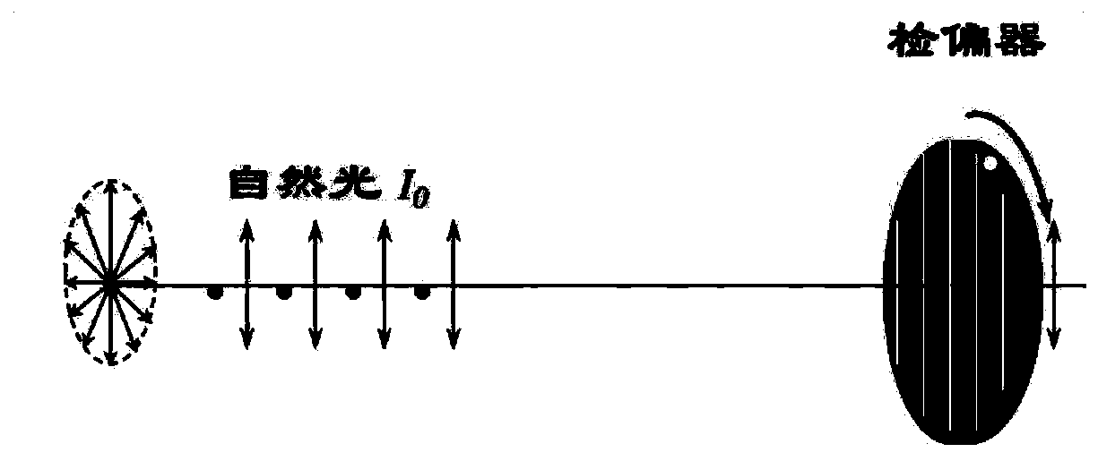 Three-dimensional face polarization illumination and information acquisition system and method thereof