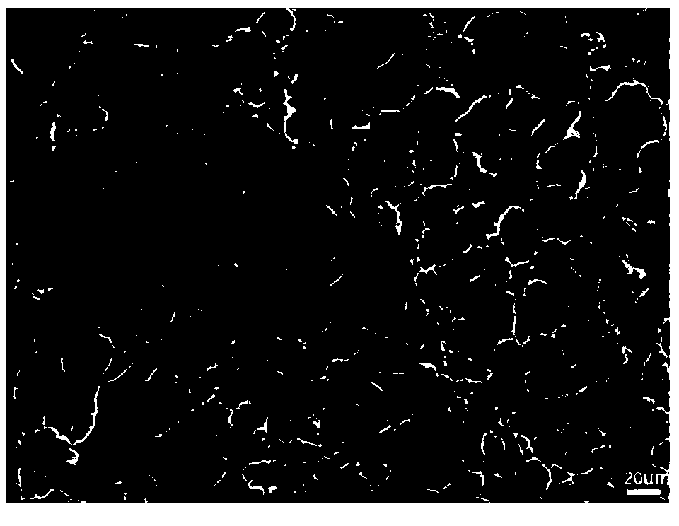 A kind of elastic gel scaffold material for bone tissue engineering and its preparation method