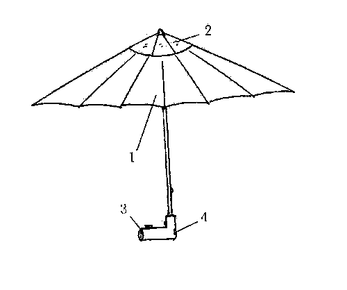 Umbrella with player
