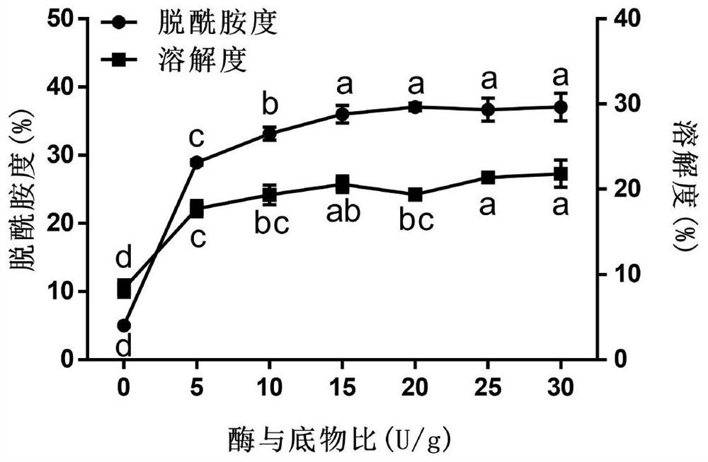 Method for modifying pea protein by using protein glutaminase