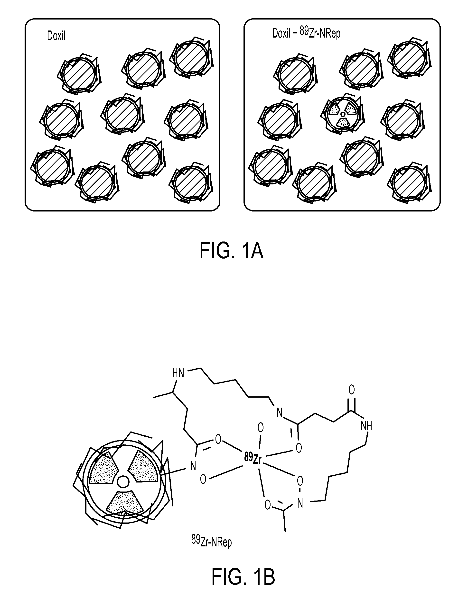 Bimodal fluorophore-labeled liposomes and associated methods and systems