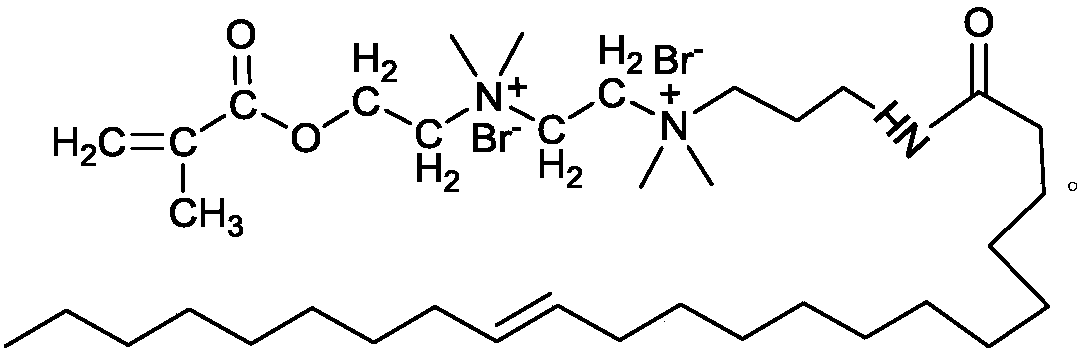 A kind of ultra-long carbon chain double hydrophilic head group hydrophobic monomer and preparation method thereof