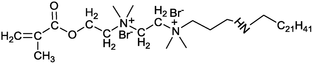 A kind of ultra-long carbon chain double hydrophilic head group hydrophobic monomer and preparation method thereof