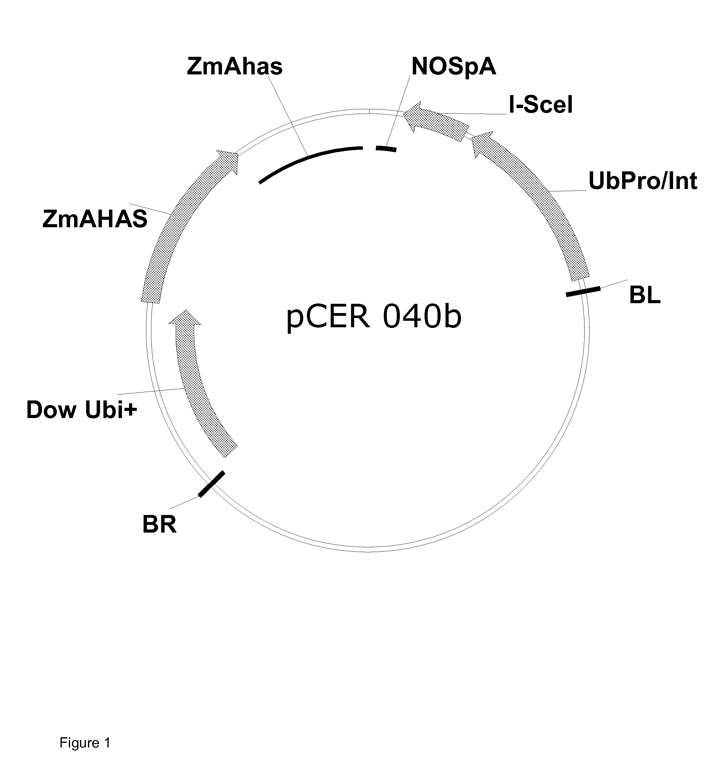 Method Of Excising A Nucleic Acid Sequence From A Plant Genome