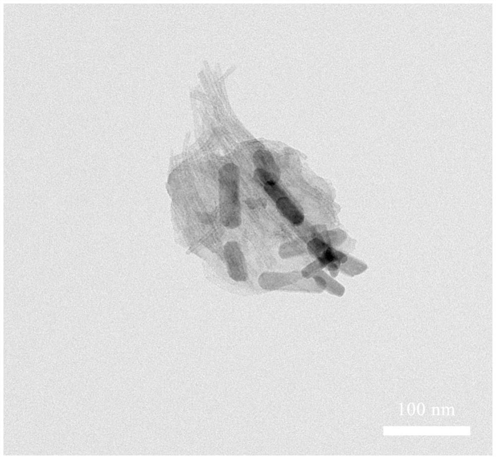 Preparation method and application of titanium tricarbide-bismuth sulfide nano composite material