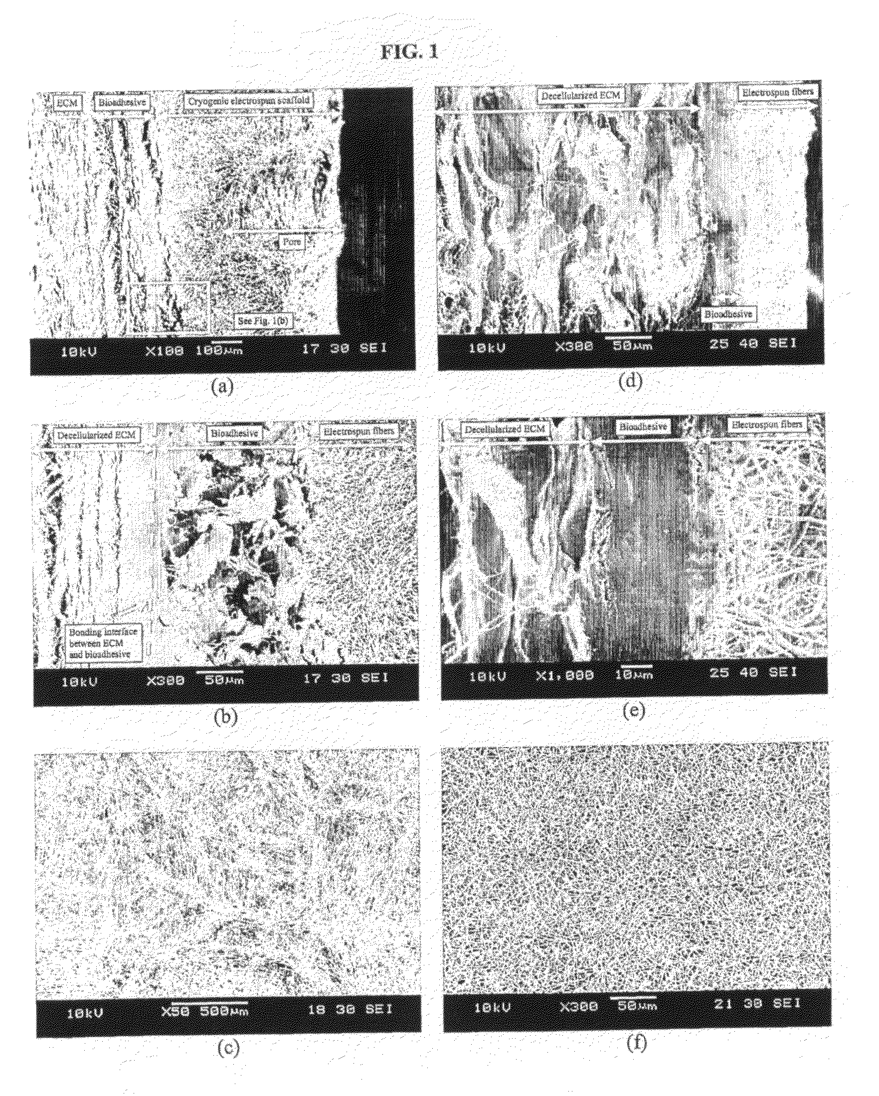 Three-dimensional porous hybrid scaffold and manufacture thereof
