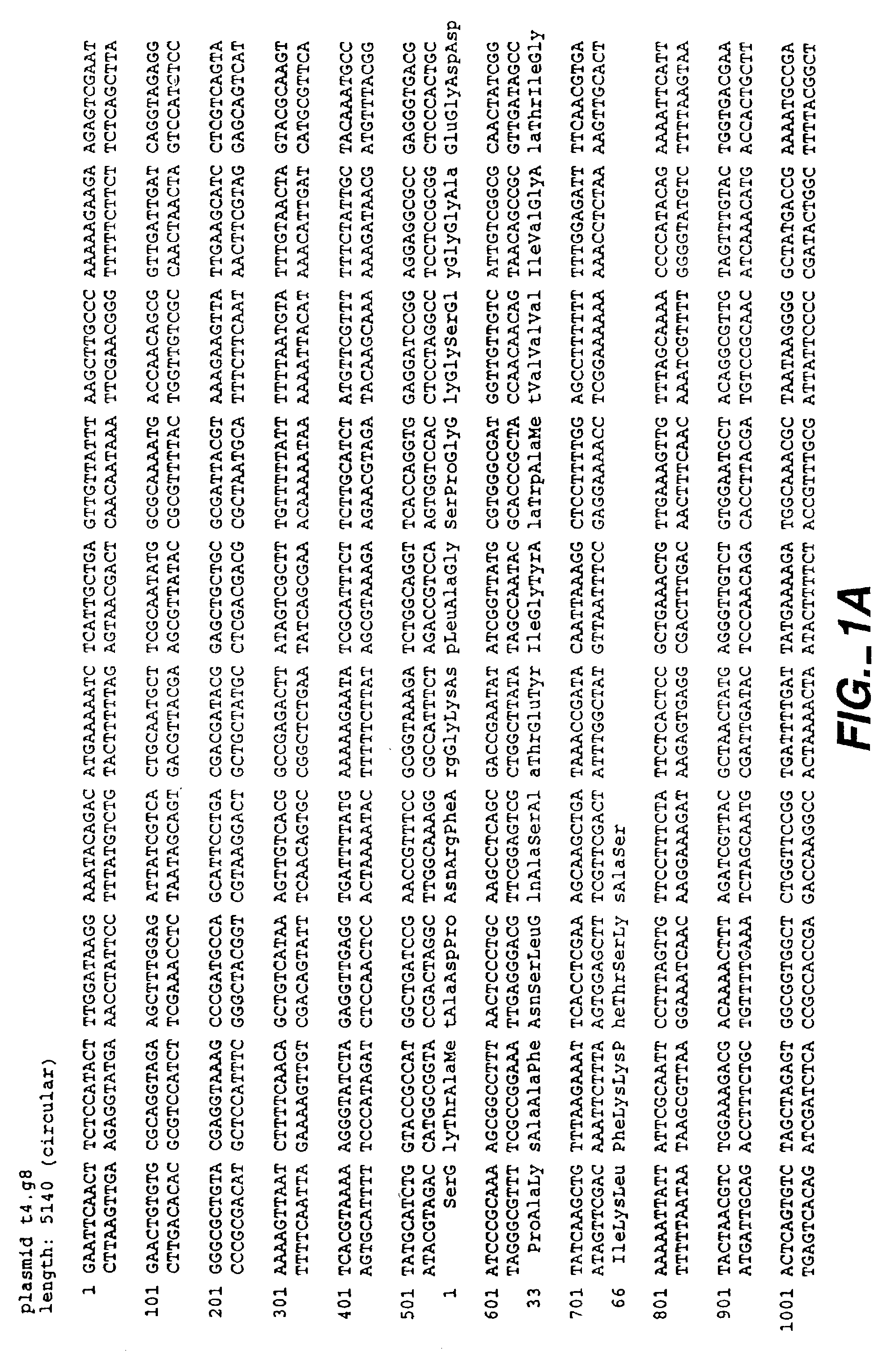 Method for treating cartilage disorders