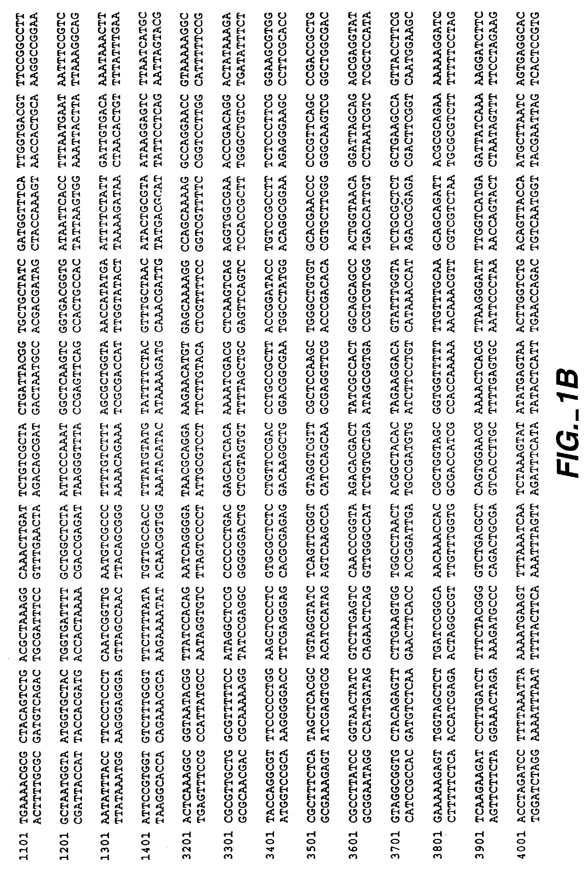 Method for treating cartilage disorders