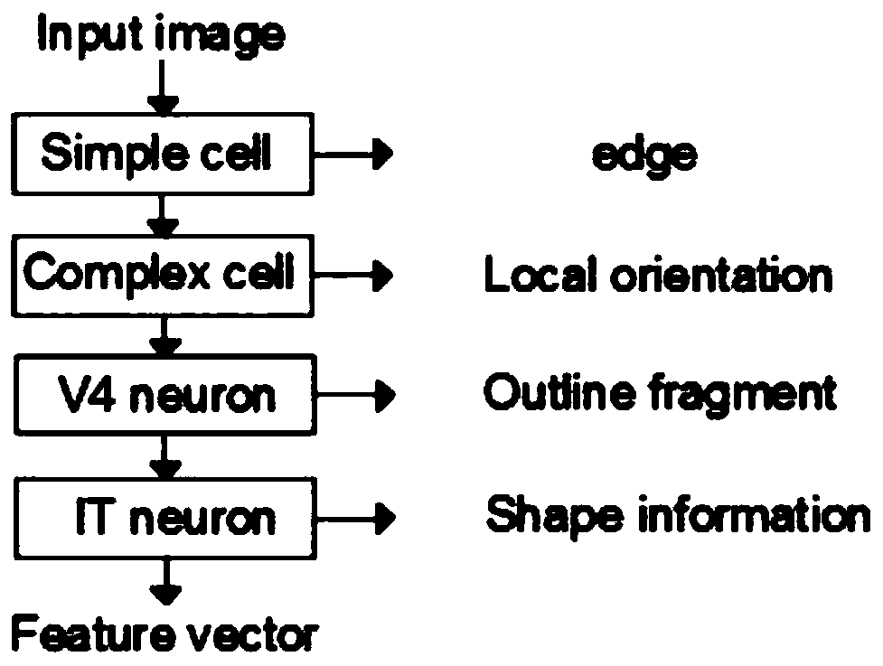 Image feature extraction and target recognition method and system, storage medium and terminal