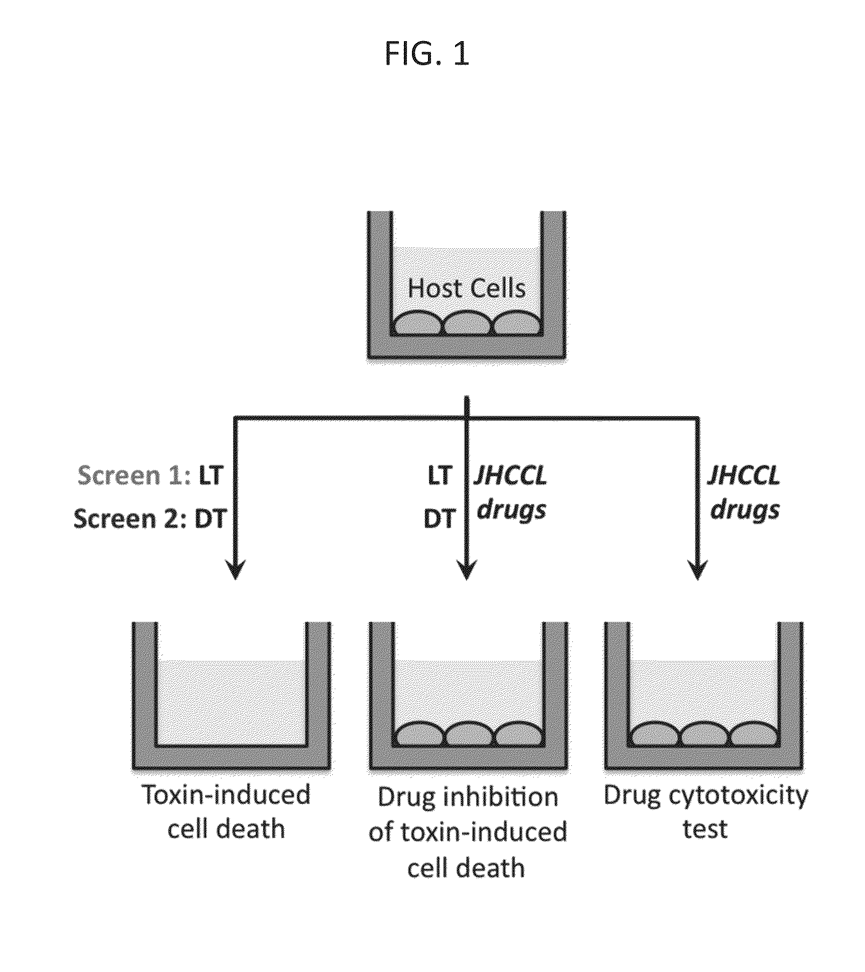 Compositions and methods for inhibiting bacterial and viral pathogens