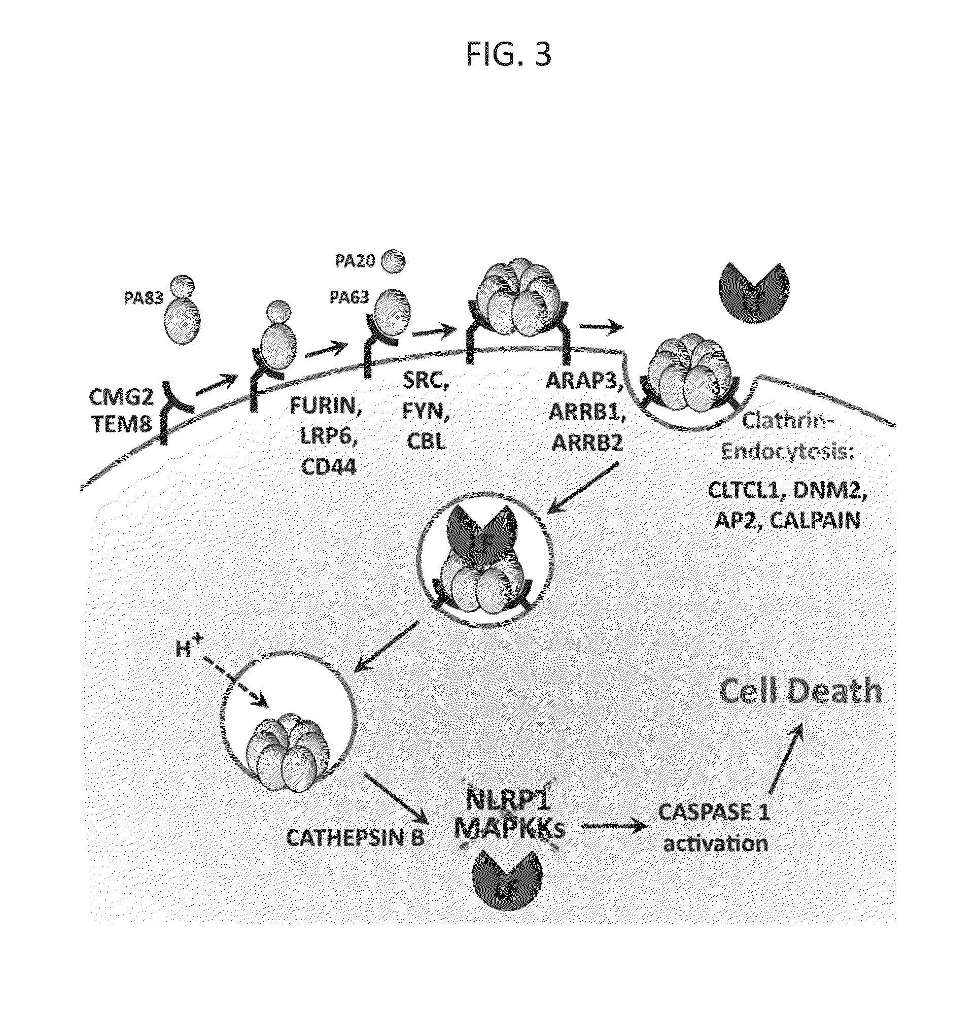Compositions and methods for inhibiting bacterial and viral pathogens