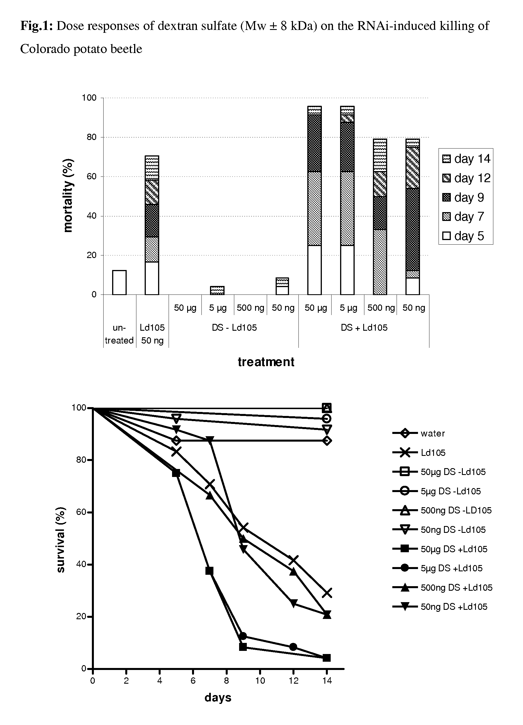 Methods and compositions for increasing RNA interference