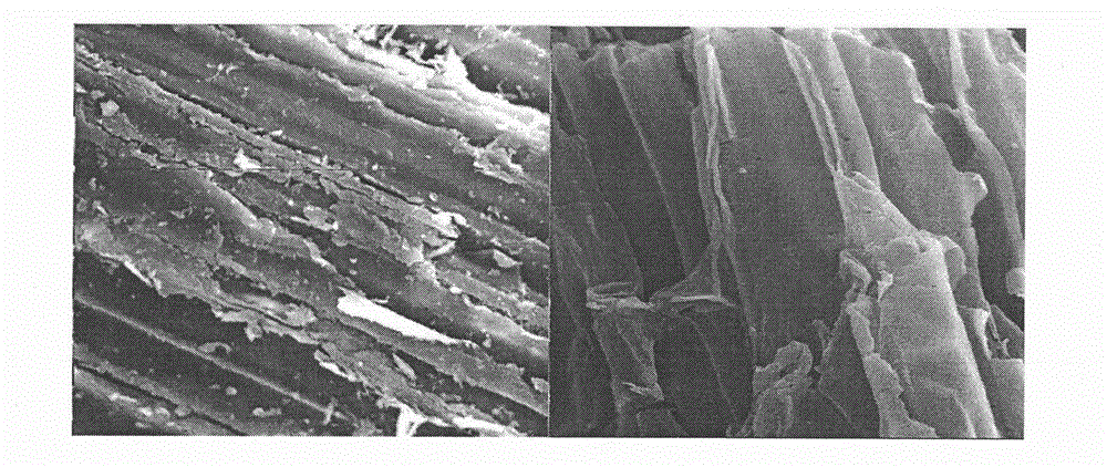 Agricultural waste anion adsorbent and application thereof