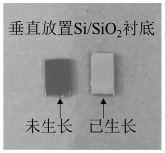 Device and method for growing high-quality uniform germanium selenide film