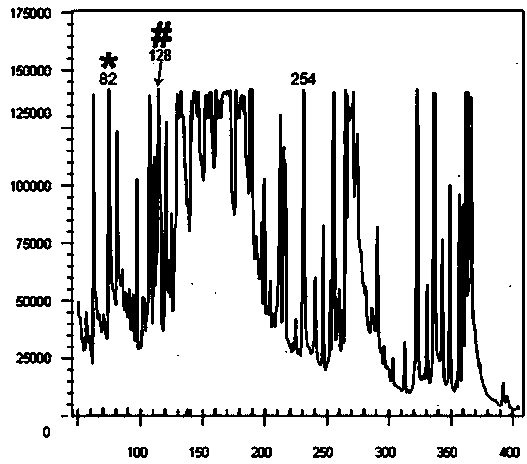 Method for identifying Qianshan No.1, new variety of Erigeron Breviscapus (Vant.)Hand.-Mazz. by utilizing AFLP (amplified fragment length polymorphism)-CE (capillary electrophoresis) technique