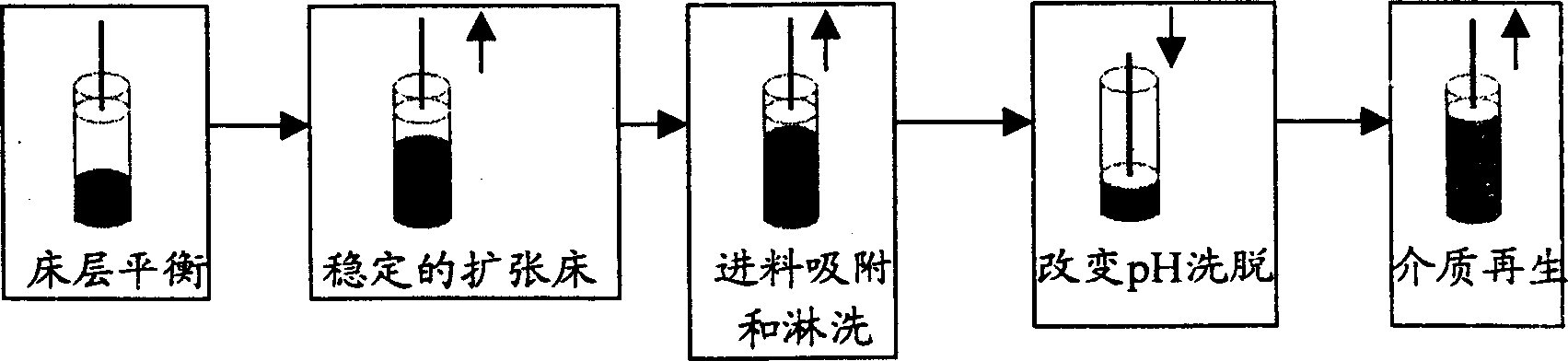 Process for purifying hematoglobin