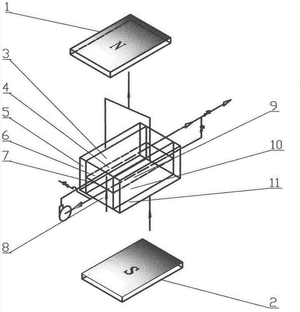 Ion separation device and ion separation method formed by magnetic field and ion exchange membranes
