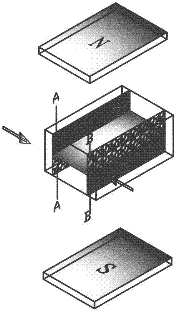Ion separation device and ion separation method formed by magnetic field and ion exchange membranes