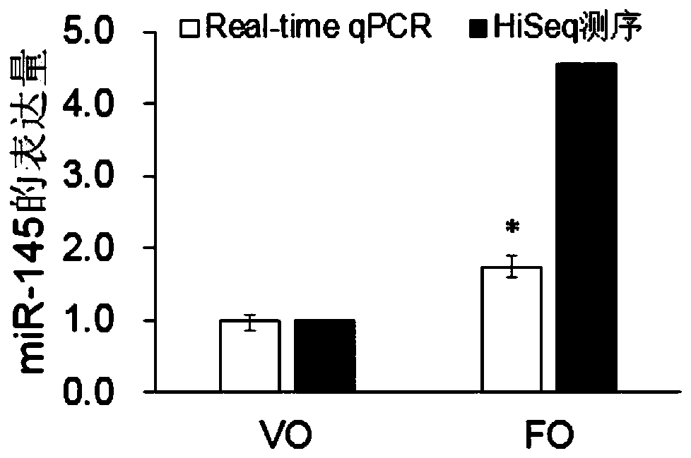 Application of miRNA-sc-miR-145 to LC-PUFA synthesis of fish