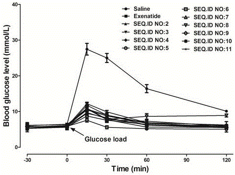 Novel peptide conjugate of African clawed frog GLP-1 (glucagon like peptide-1), as well as application thereof