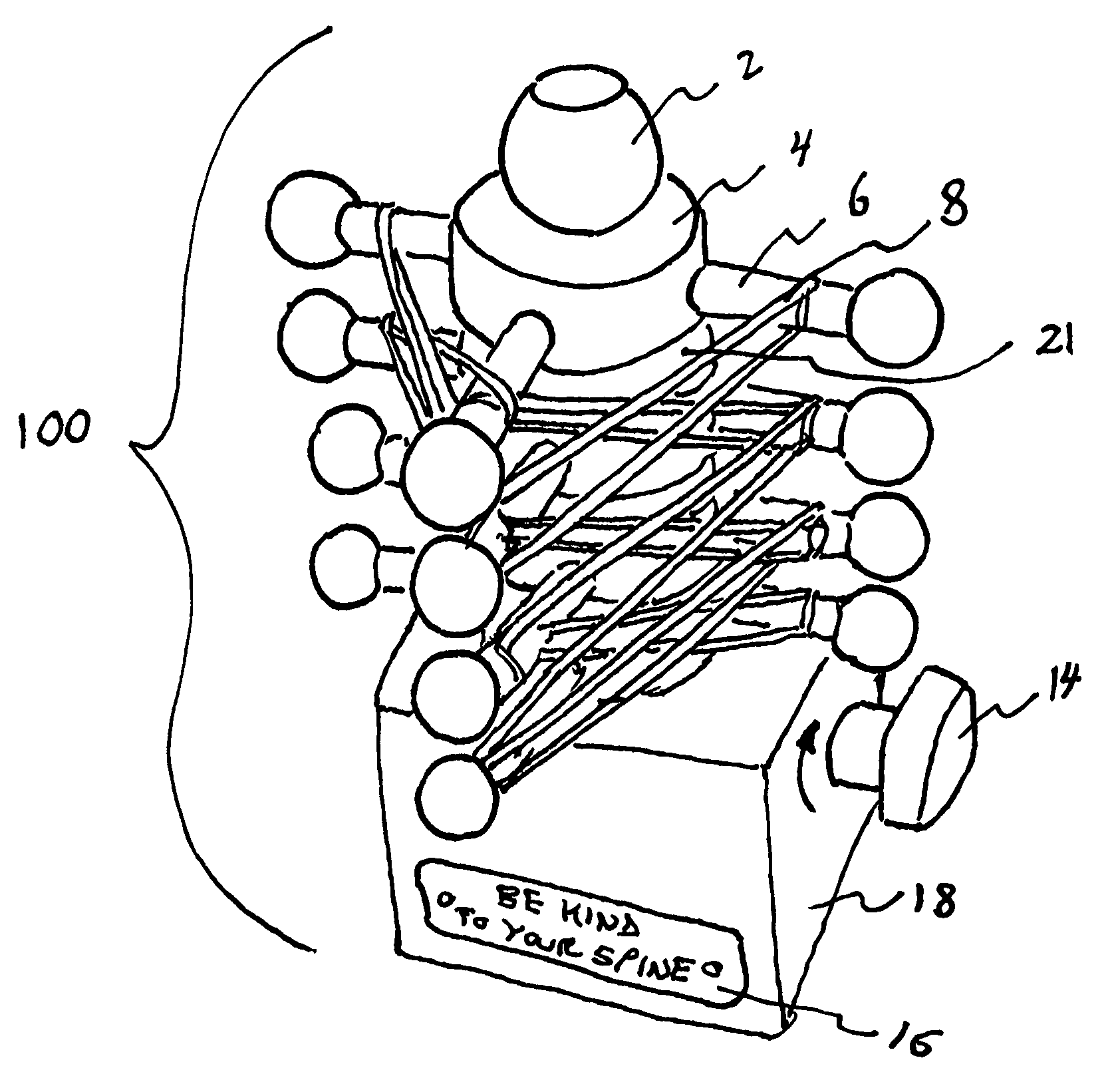 Human spine model